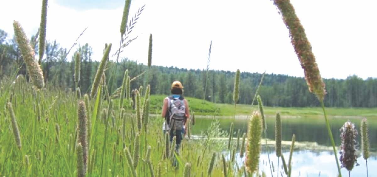 Alberta releases clearer land reclamation rules