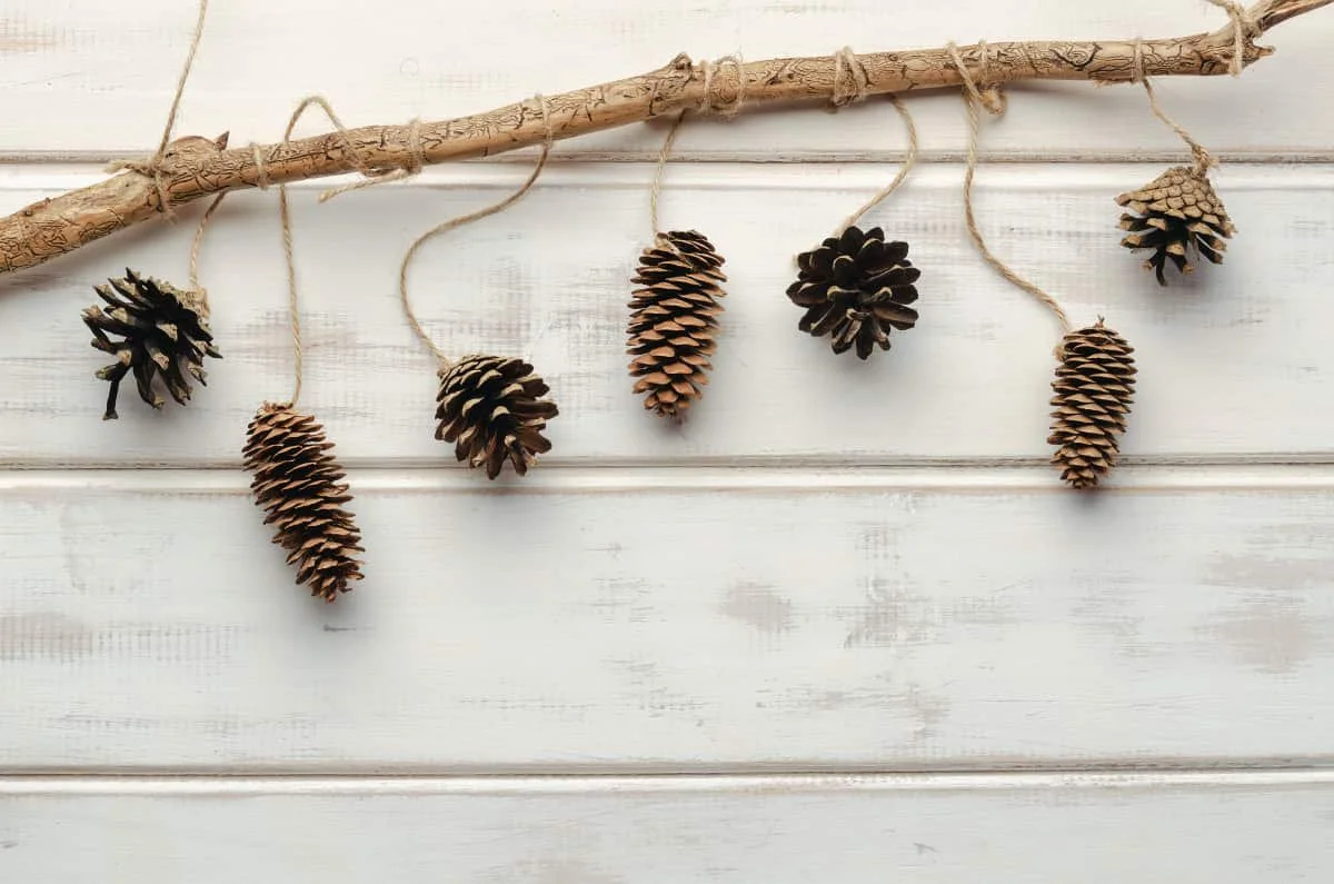 For an eco-friendly Christmas, choose your decorations wisely