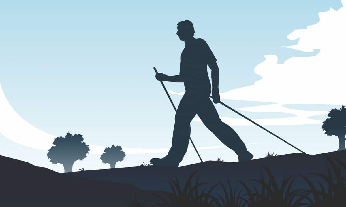 Viva Vitality: Canadian Movement Guidelines