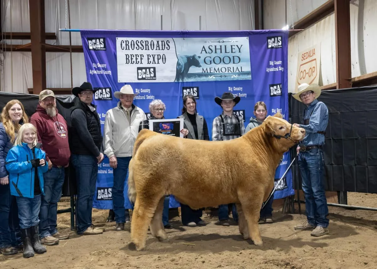 2026 Crossroads Beef Expo showcases excellence in the ring and community