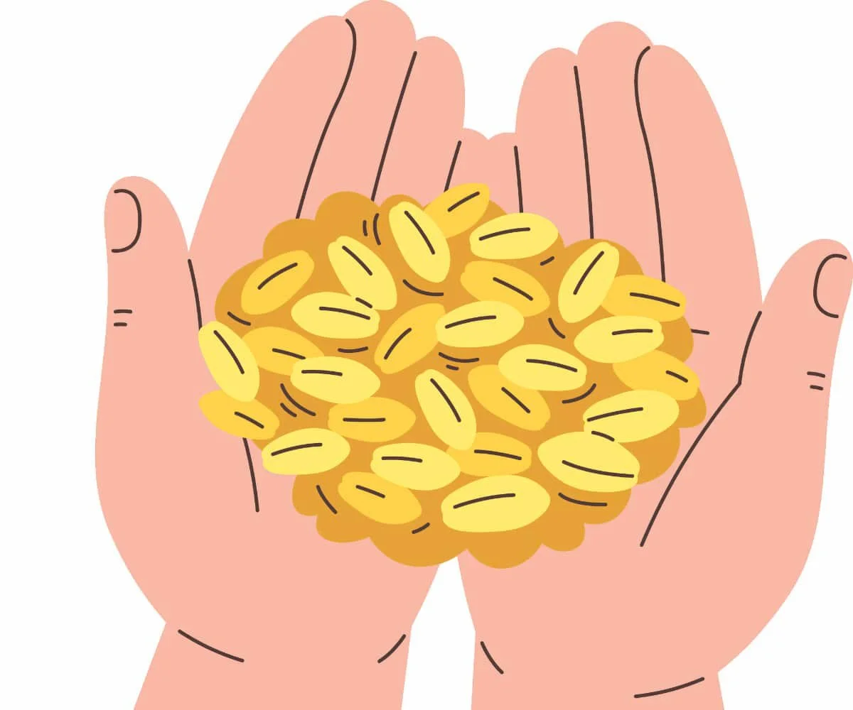 Province invests $9M to modernize local seed co-operatives