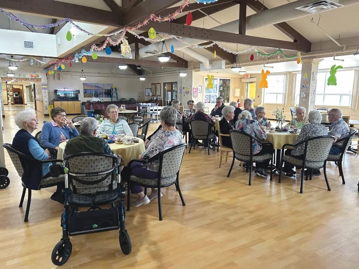 OYEN LODGE: Remembering Spring!