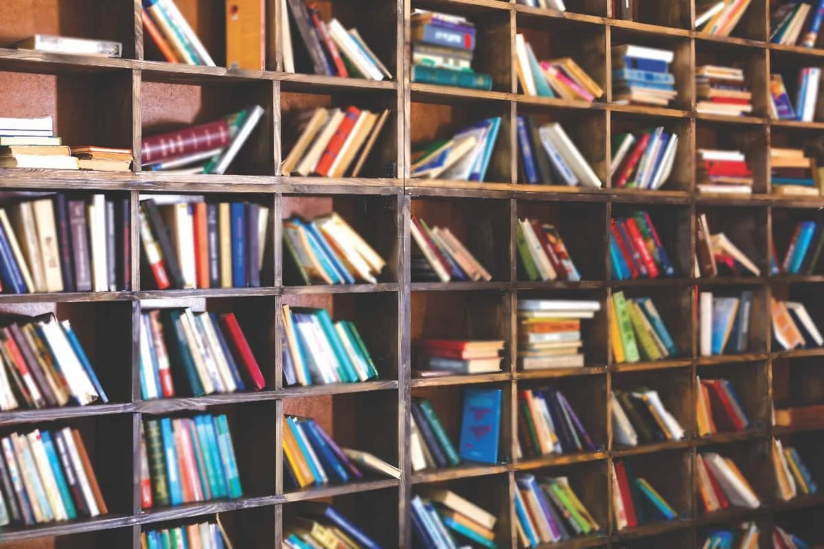 Town of Oyen Library Booknotes: Blood Moon