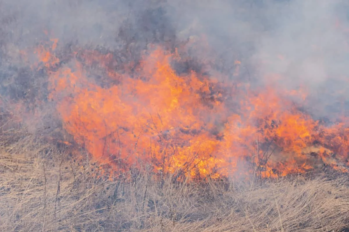 Alberta ramps up wildfire readiness with new air support