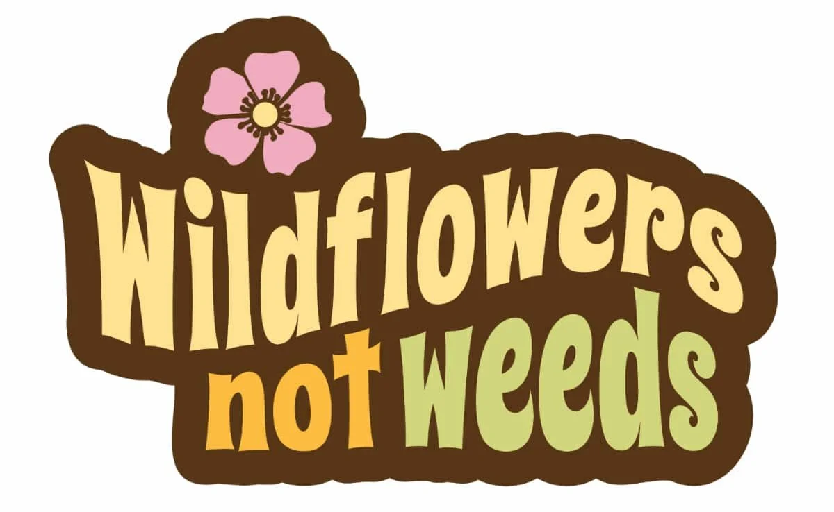 Alberta Invasive Species Council launches Wildflowers Not Weeds campaign