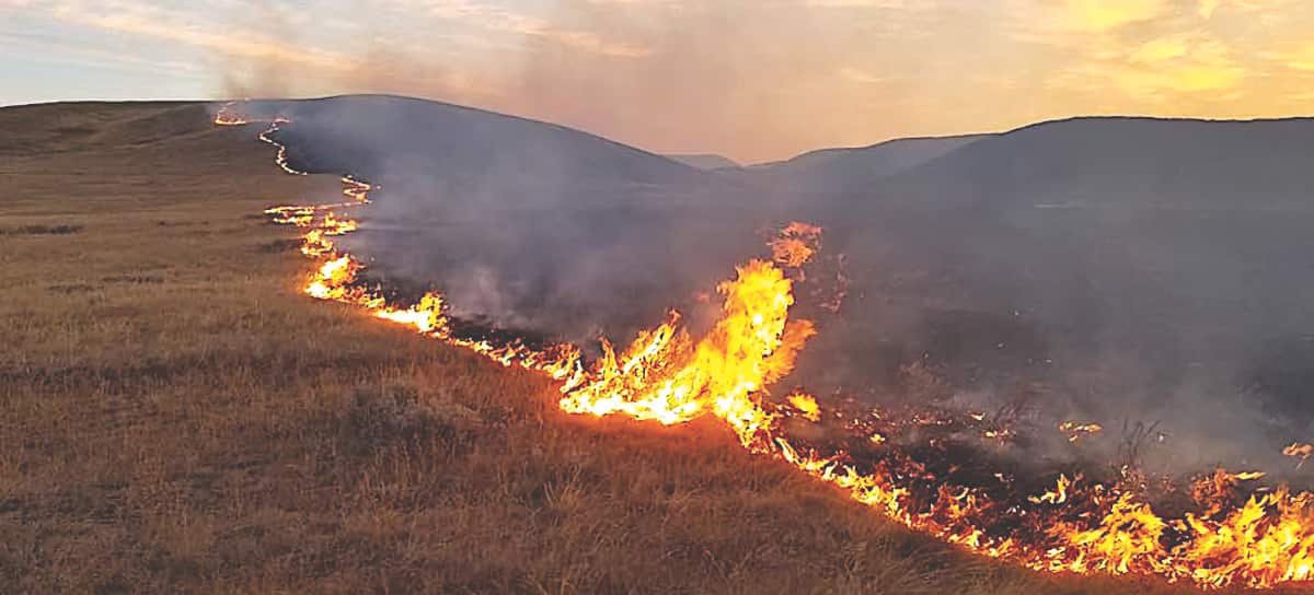 ‘Mock disaster’ exercise held in Oyen