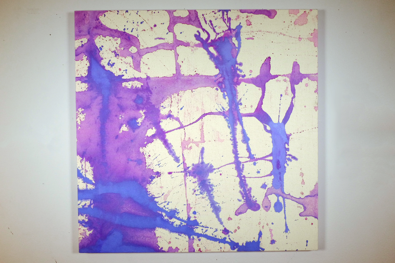 pink-splash-forward-1.png