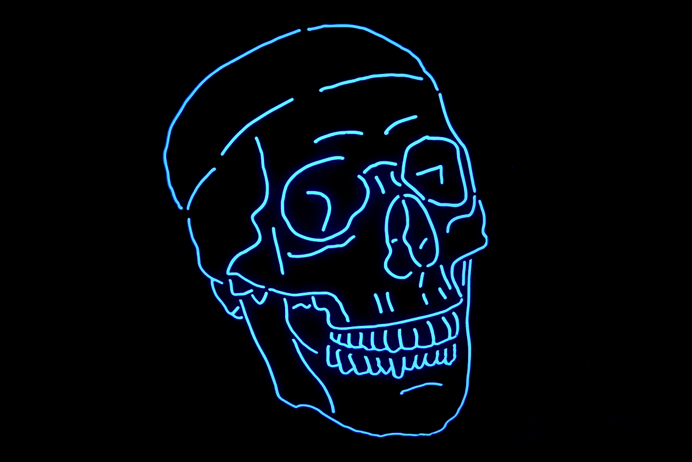 purple-silver-skull-lights-off-forward-1.png
