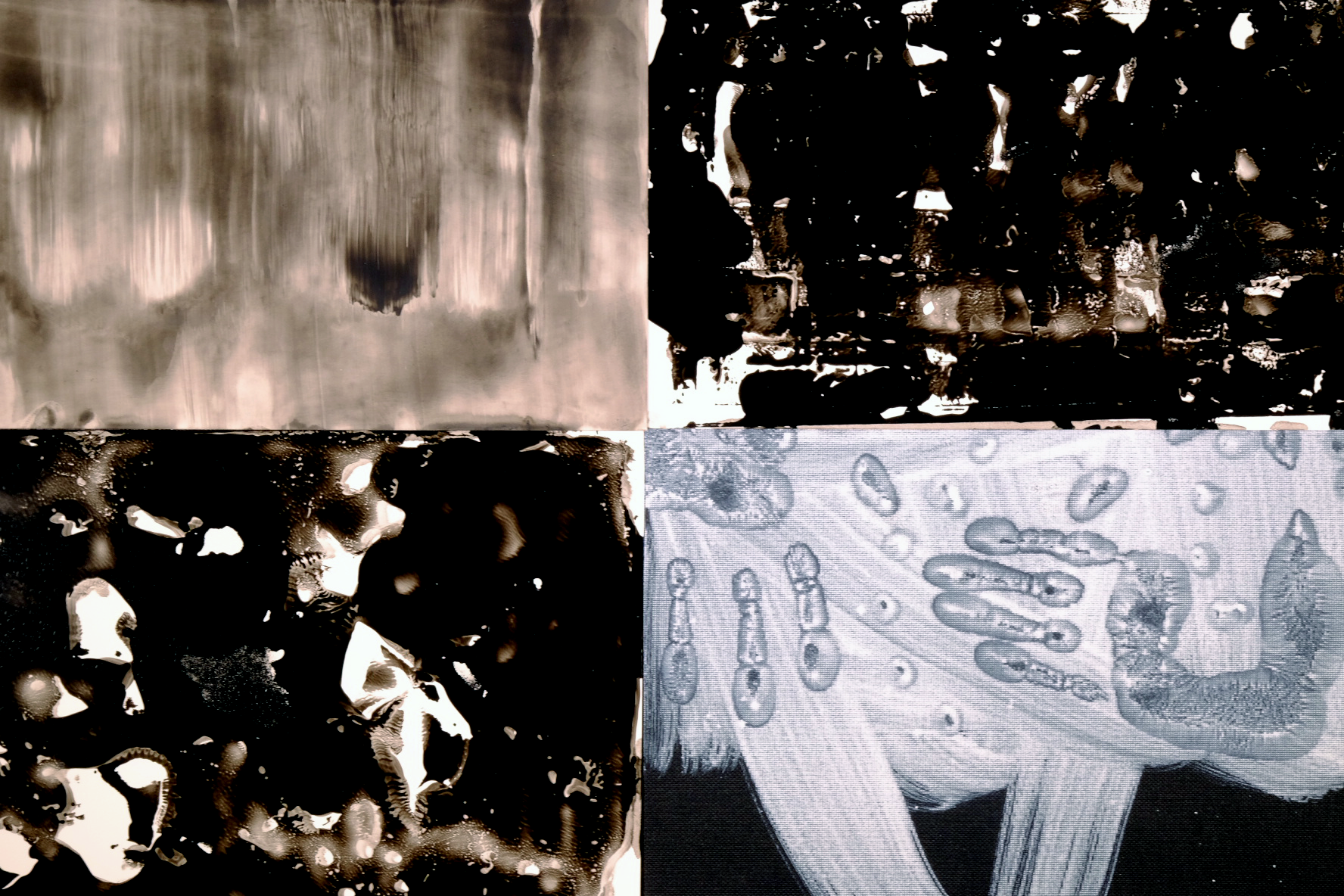 black-four-rectangle-collage-forward-no-border.png