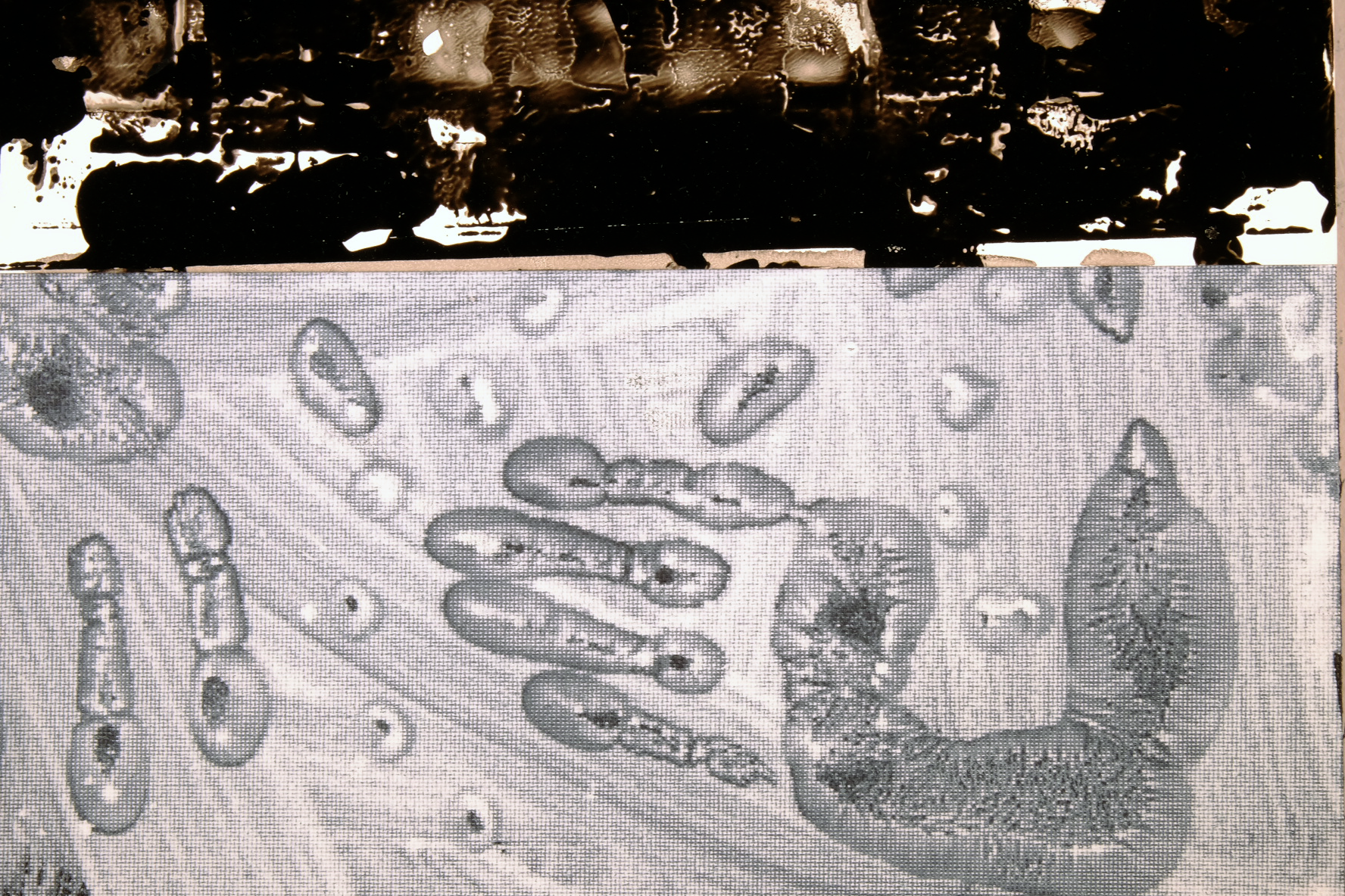 black-rectangle-collage-detail-2.png