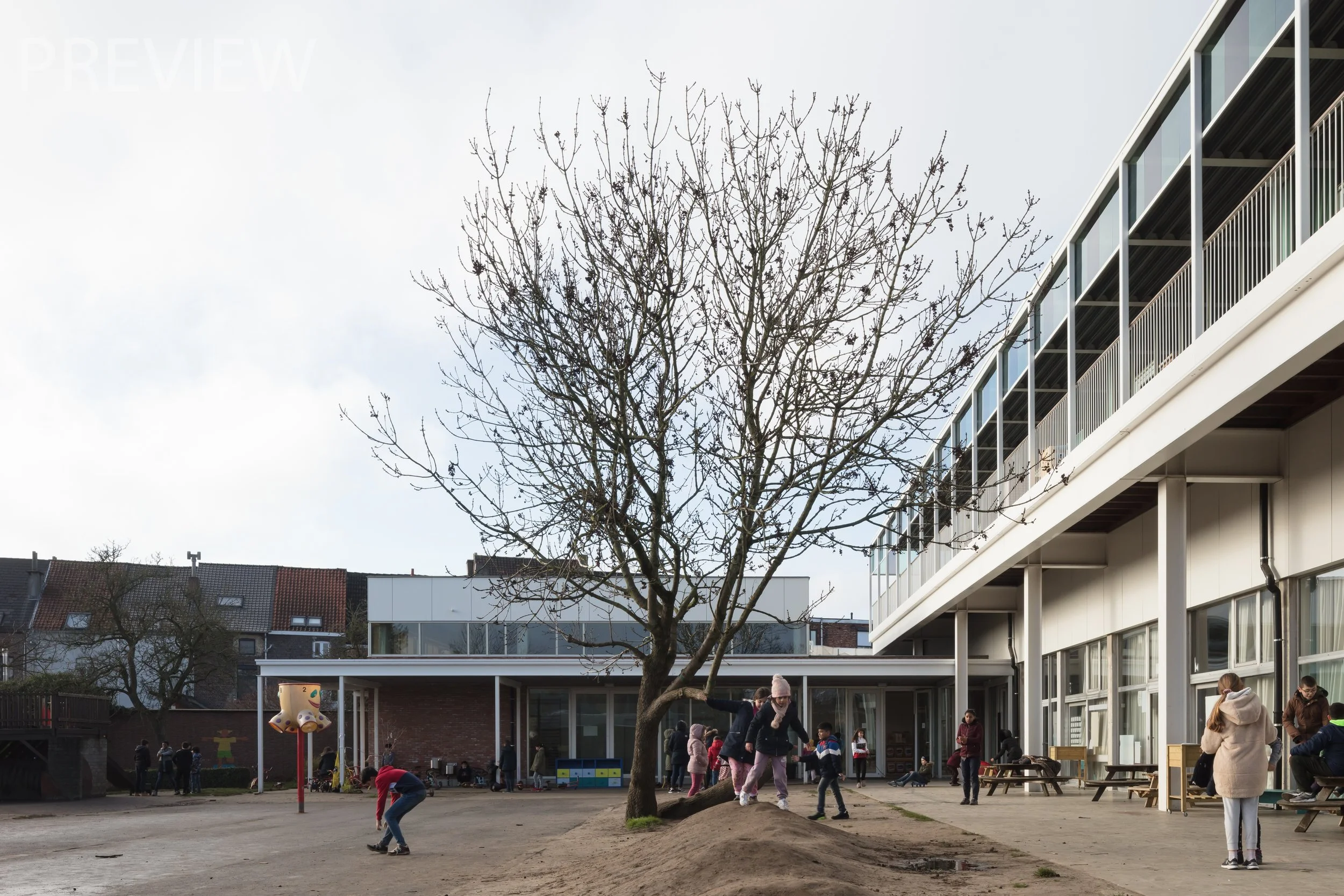  foto Stijn Bollaert 