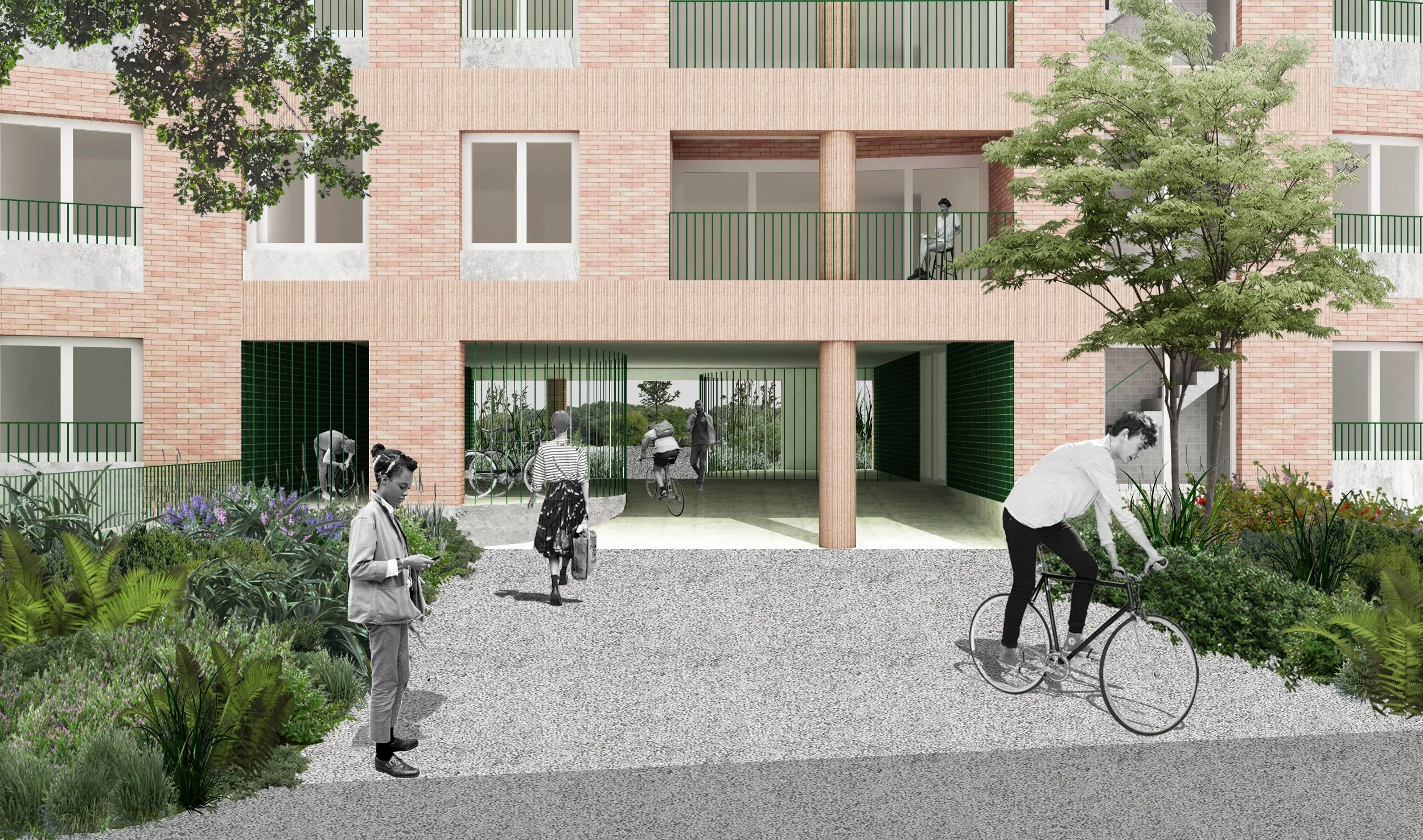  beeld 