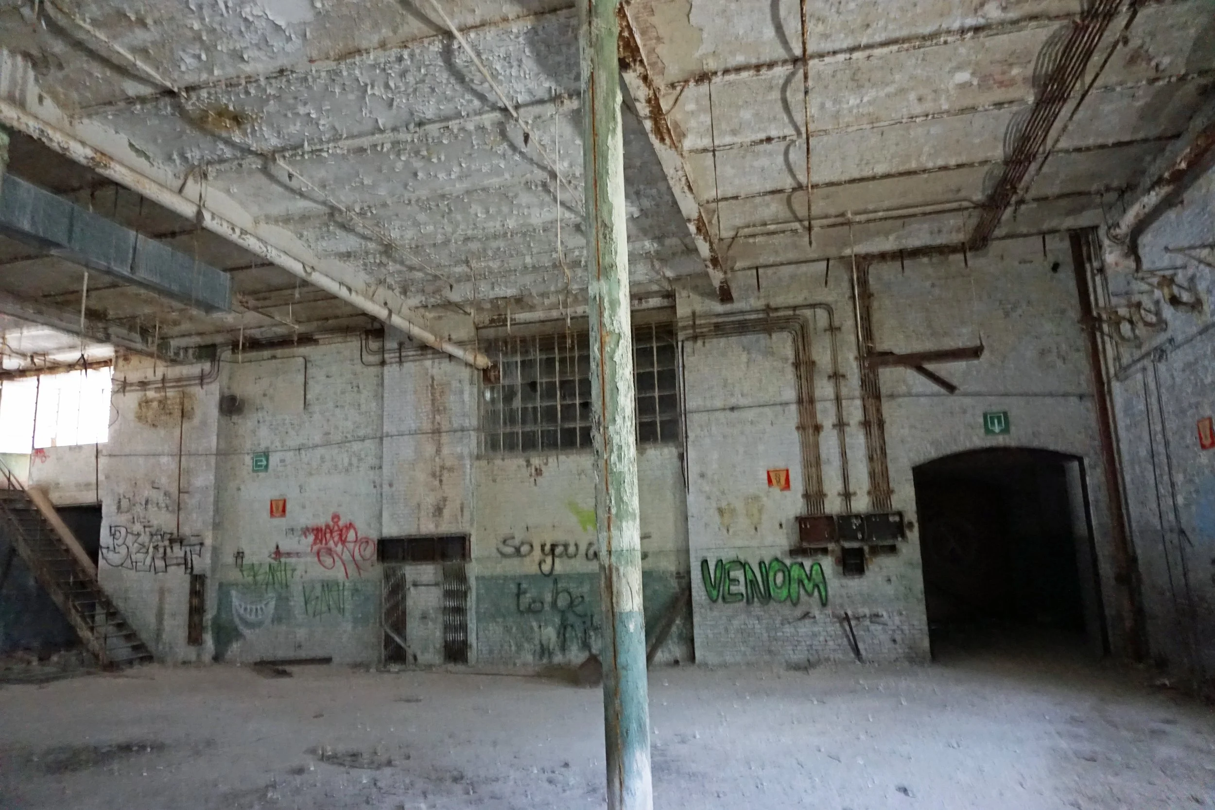 DSC01178.jpg