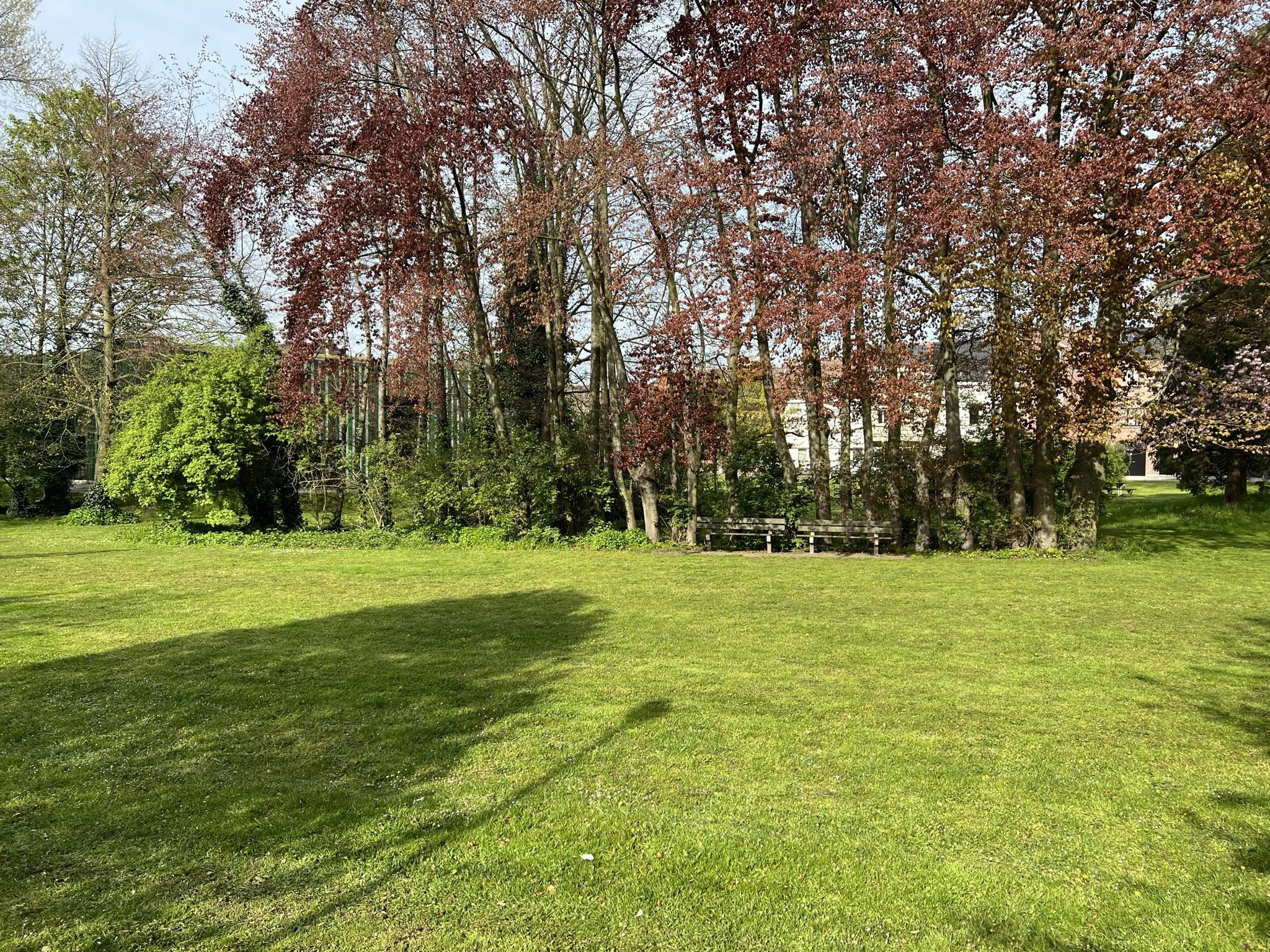 IMG_1810.JPEG