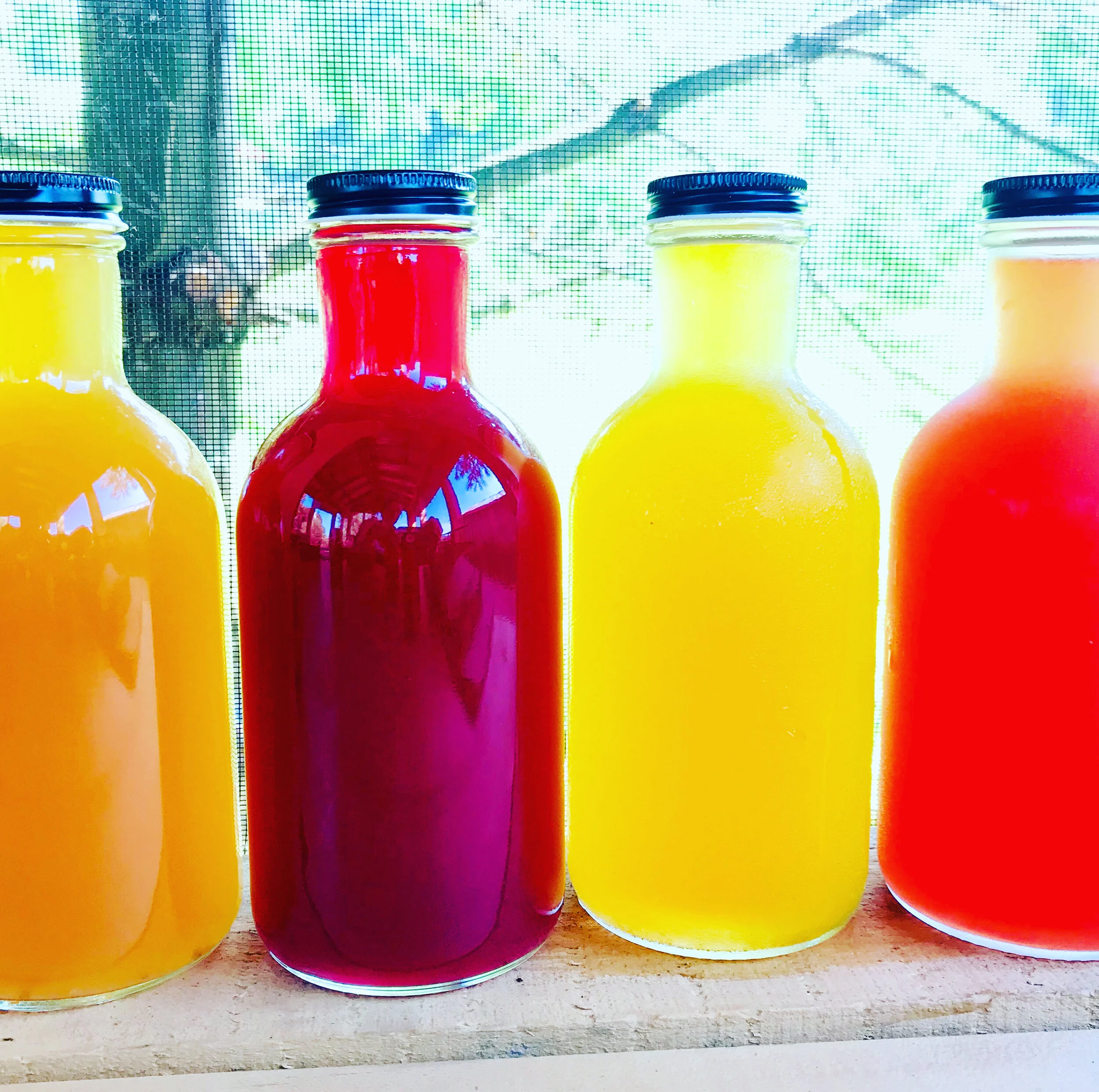 Rainbow Booch.JPG