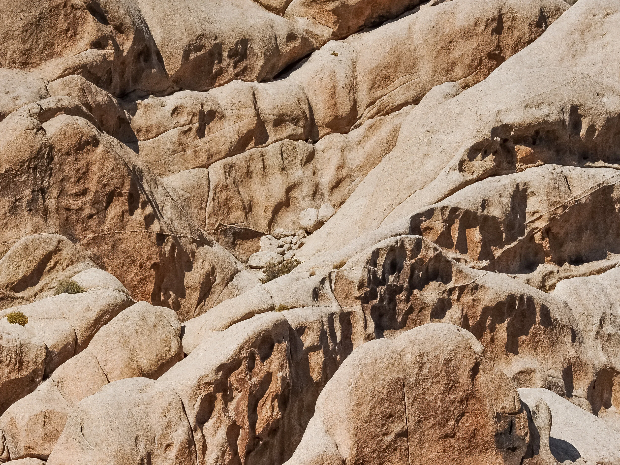 joshua-tree-california-rocks-unframed-print.jpg
