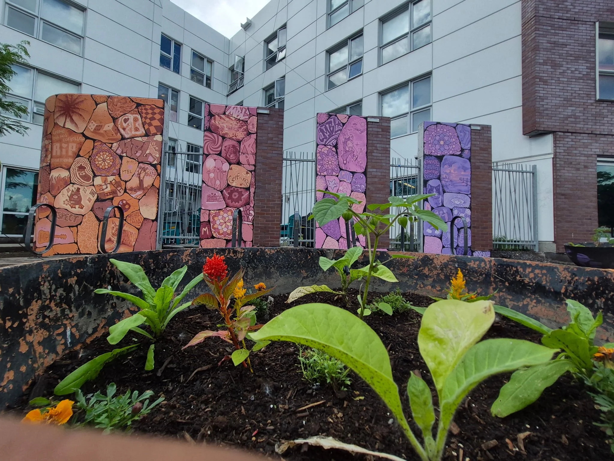La communauté à l’œuvre : une murale collective inaugurée à la Maison Benoît Labre