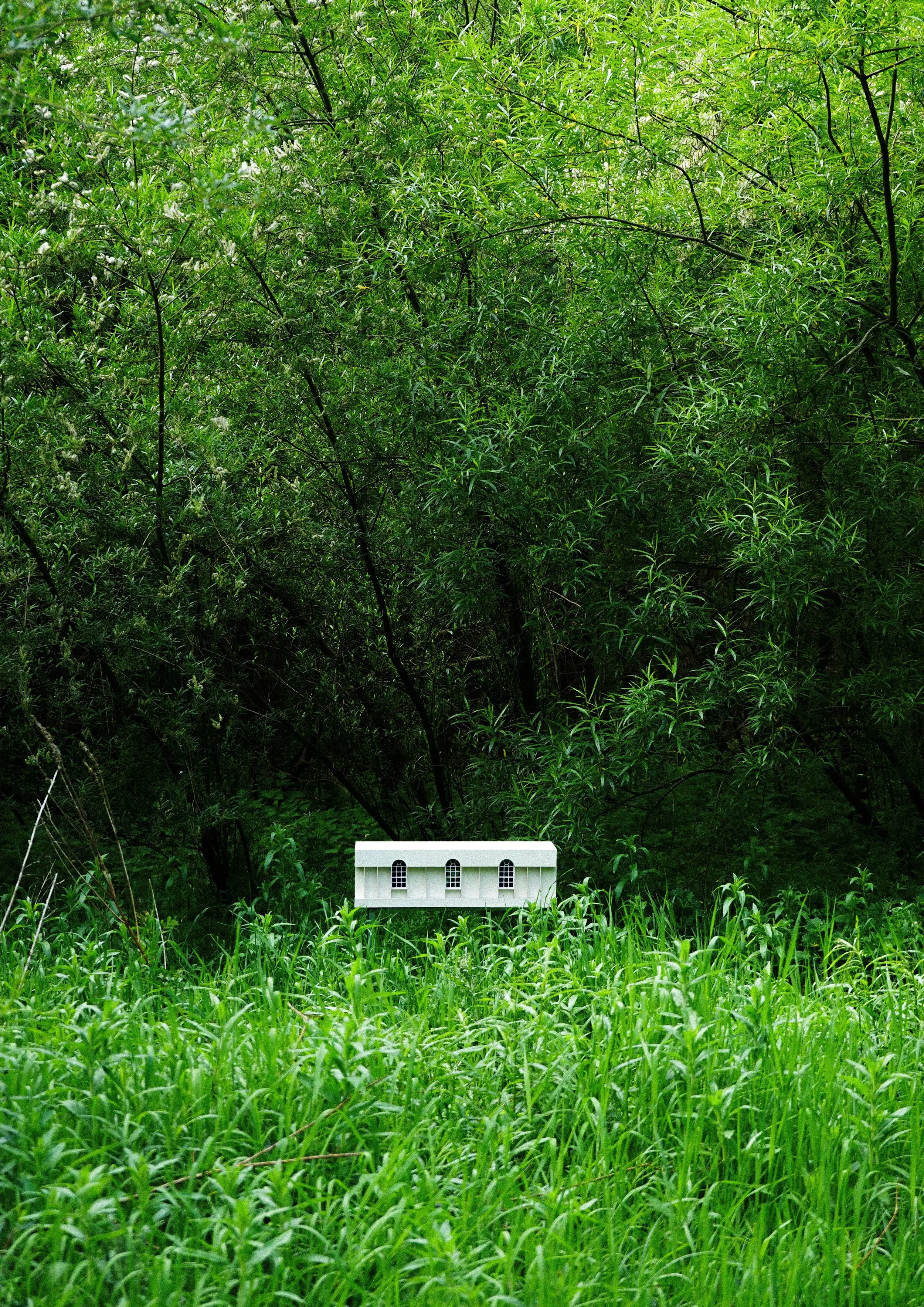 Linenhall Model for Sorcha McNamara