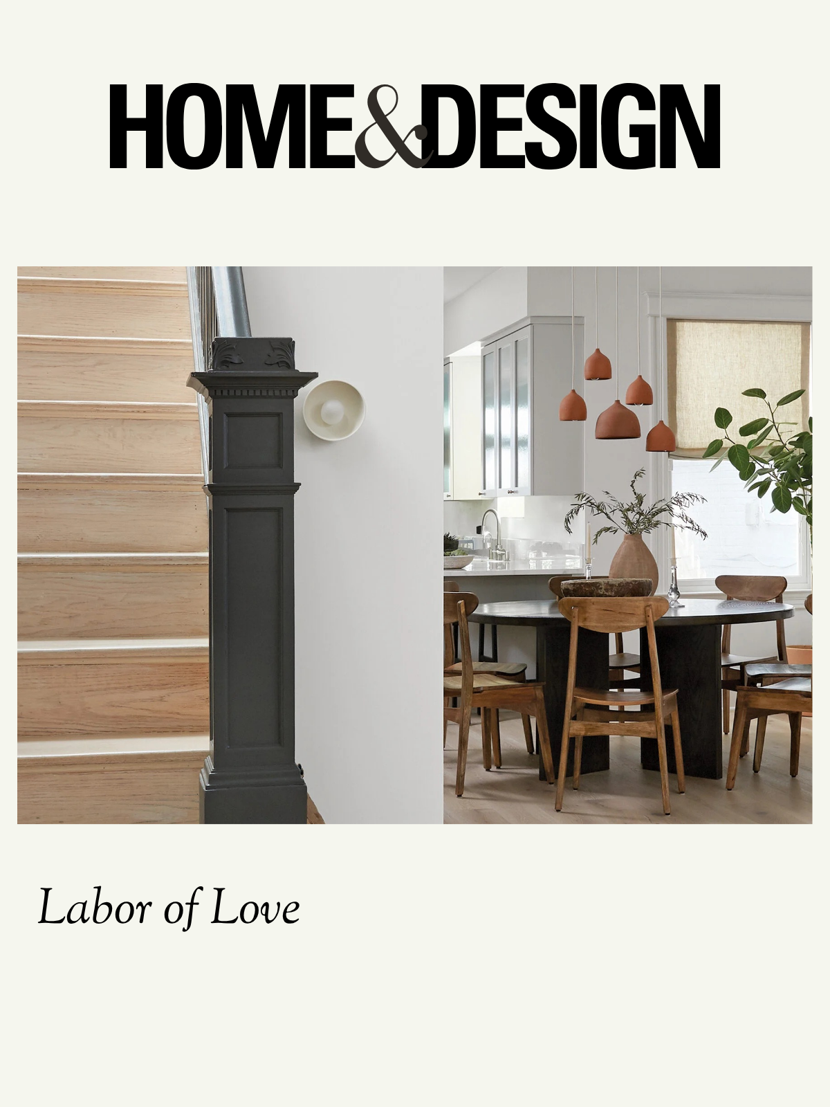 HOMES & DESIGN.png