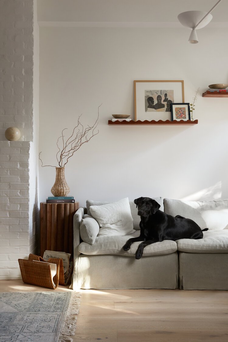 A black dog lying on a sofa in a modern living room with minimal decor, a wooden shelf with framed artwork, a tall woven vase with dried branches, and a basket with magazines.