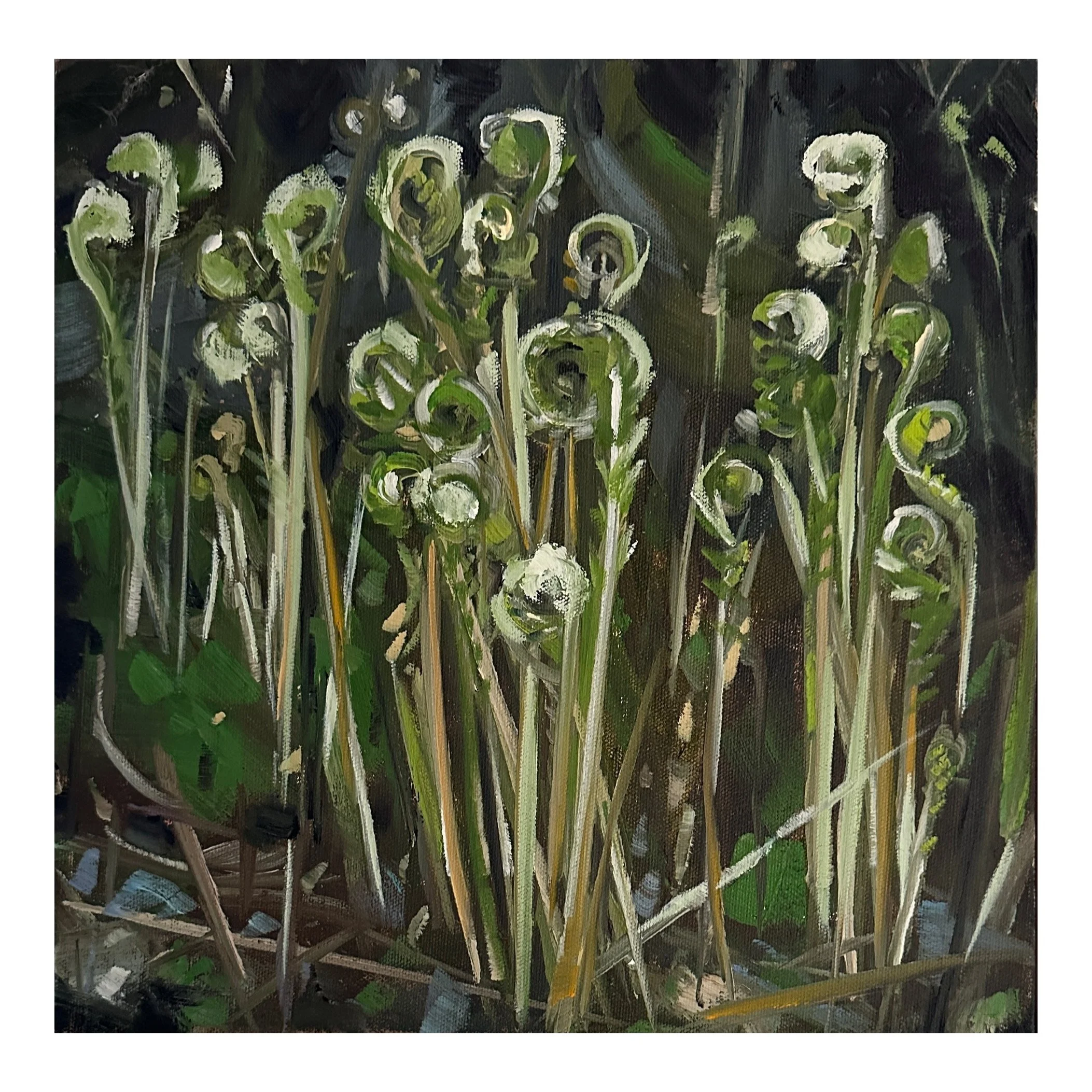 Whitagram-Image 43.JPG