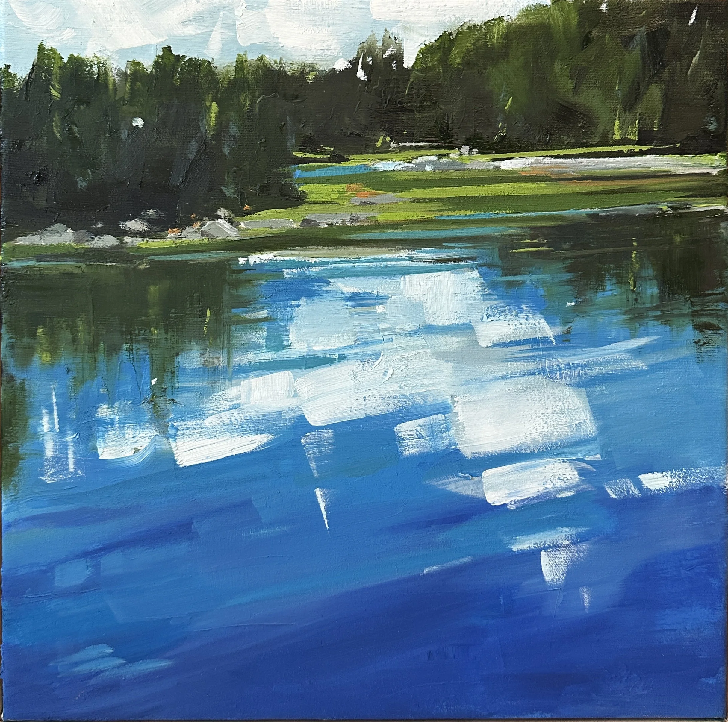 Sundew Trail. 16 x 16. ooc $1600. available at Littlefield Gallery