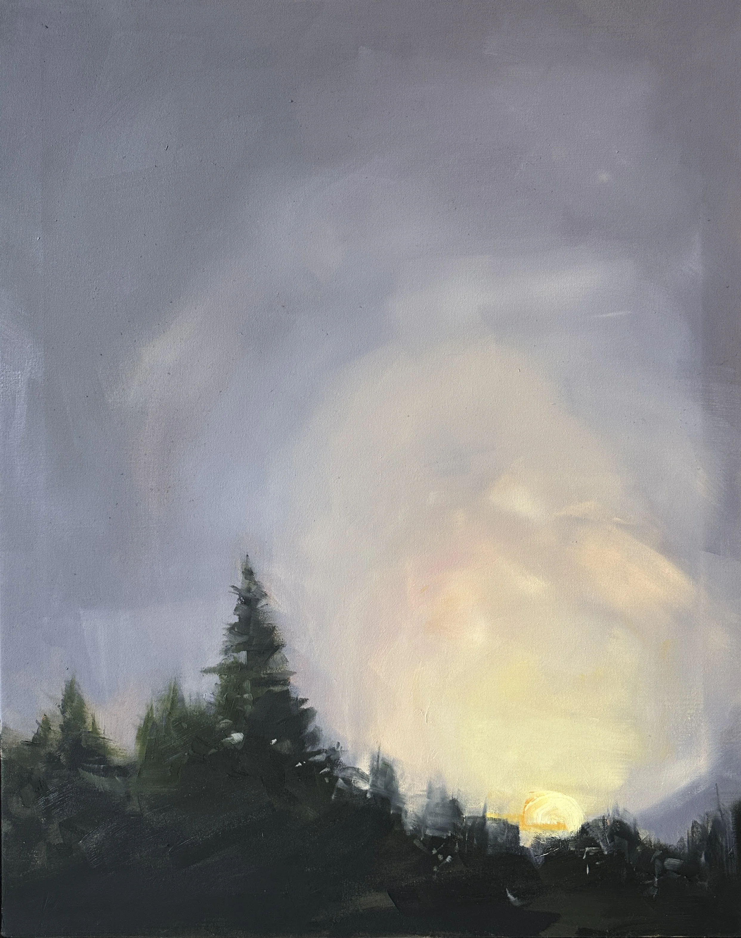 Mid-Wood's Twilight. 28"  x  24". O/c. Available at Littlefield Gallery