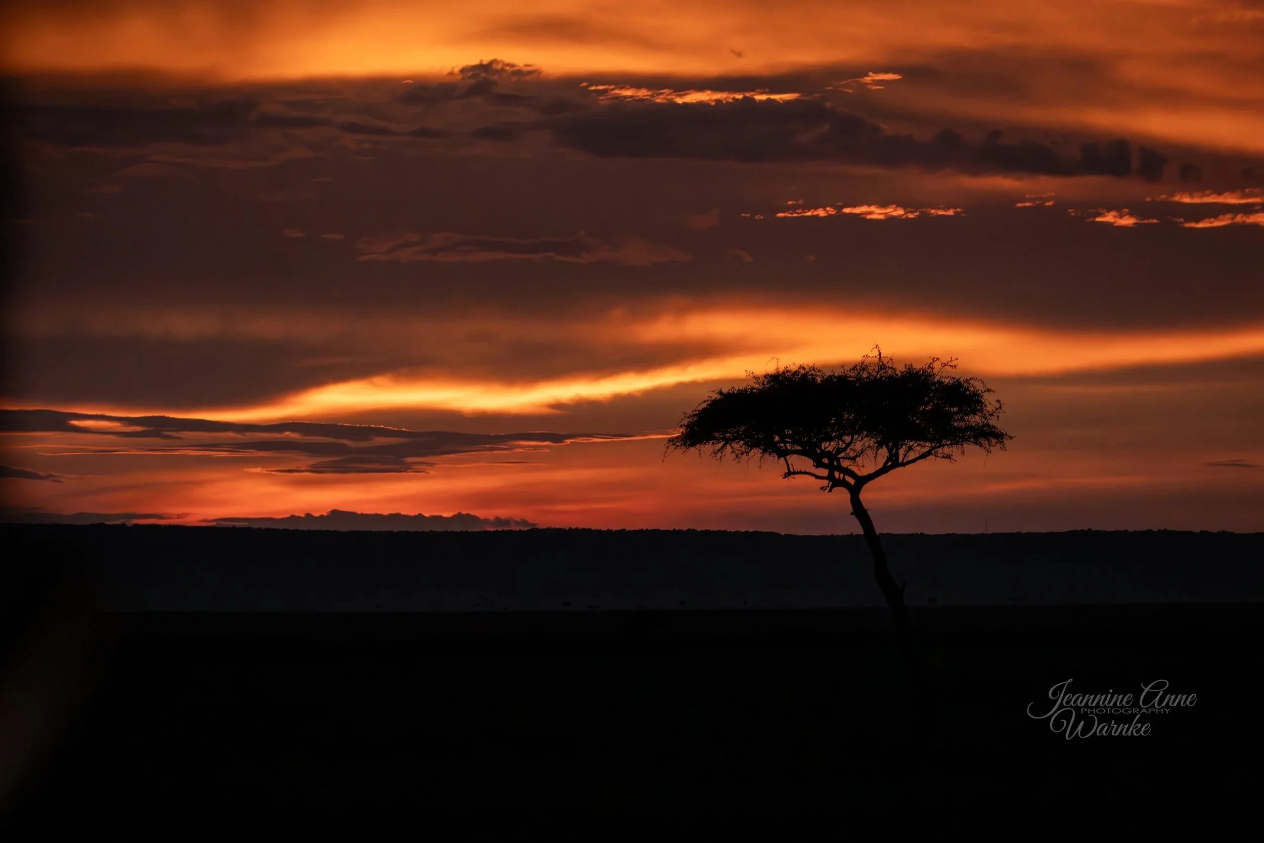 "Sunset Over the Maasai Mara"