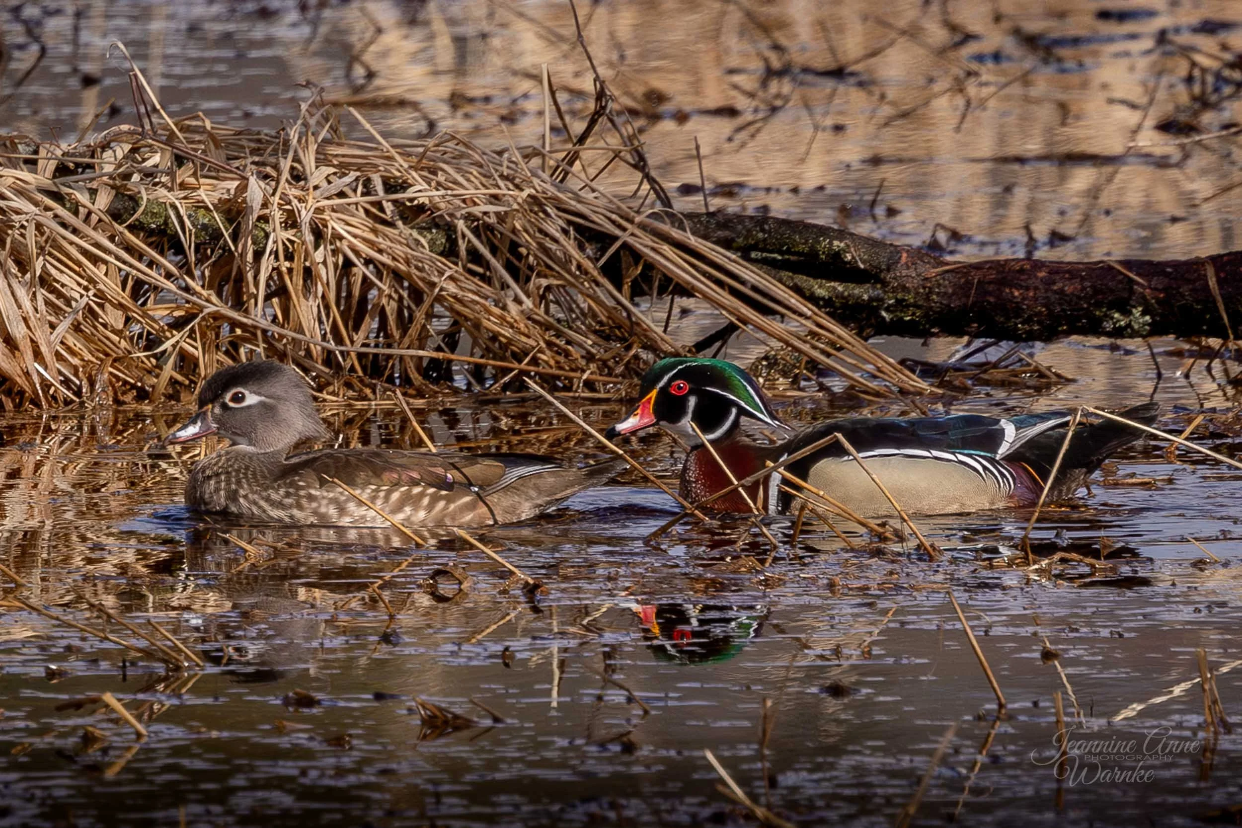 March 2026 WI Regional Calendar  - "Springtime Pursuit"