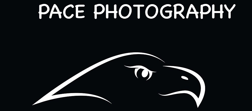 PACE PHOTOGRAPHY Wildlife and Beyond