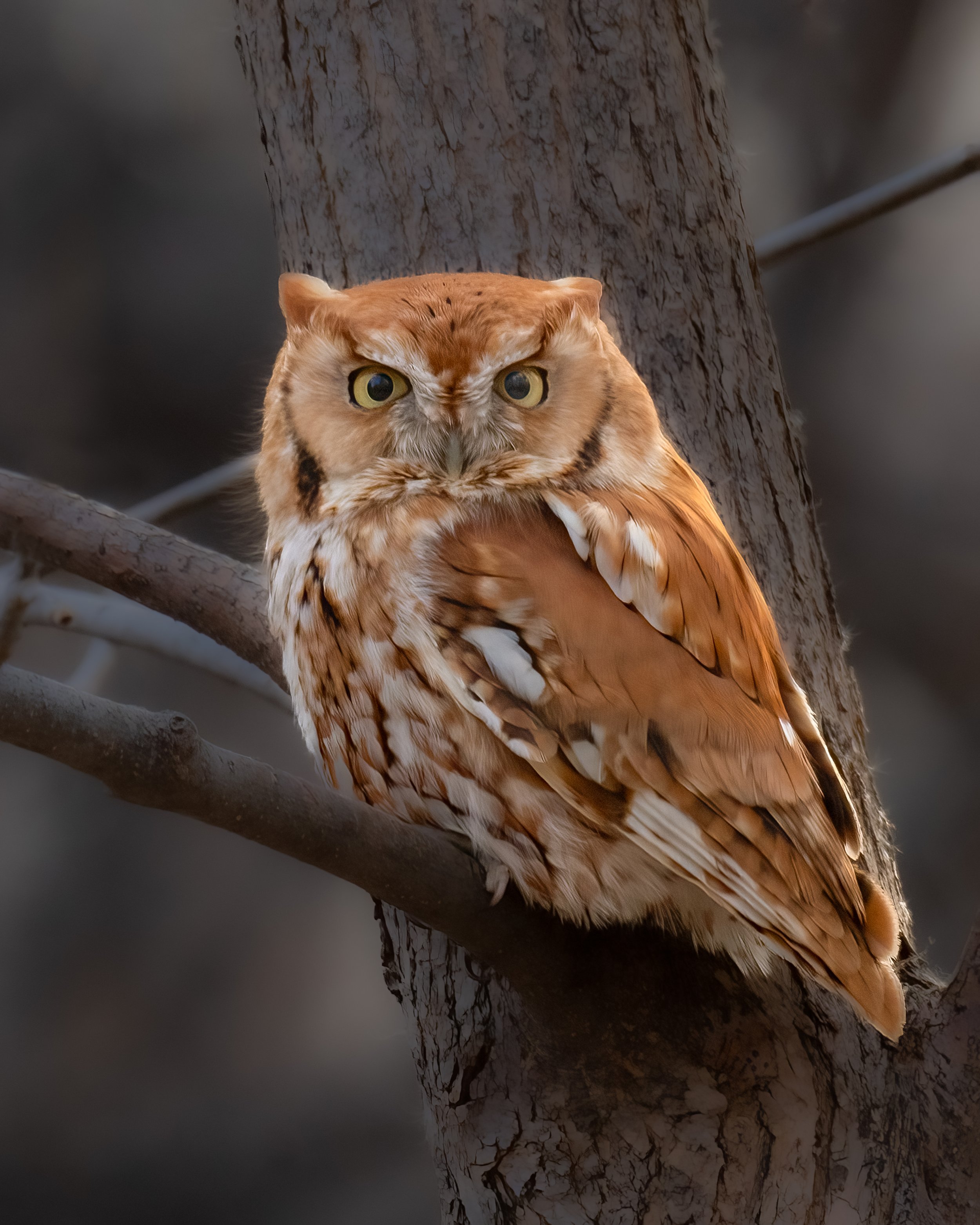 DSC_6570-Edit-Edit-2.jpg