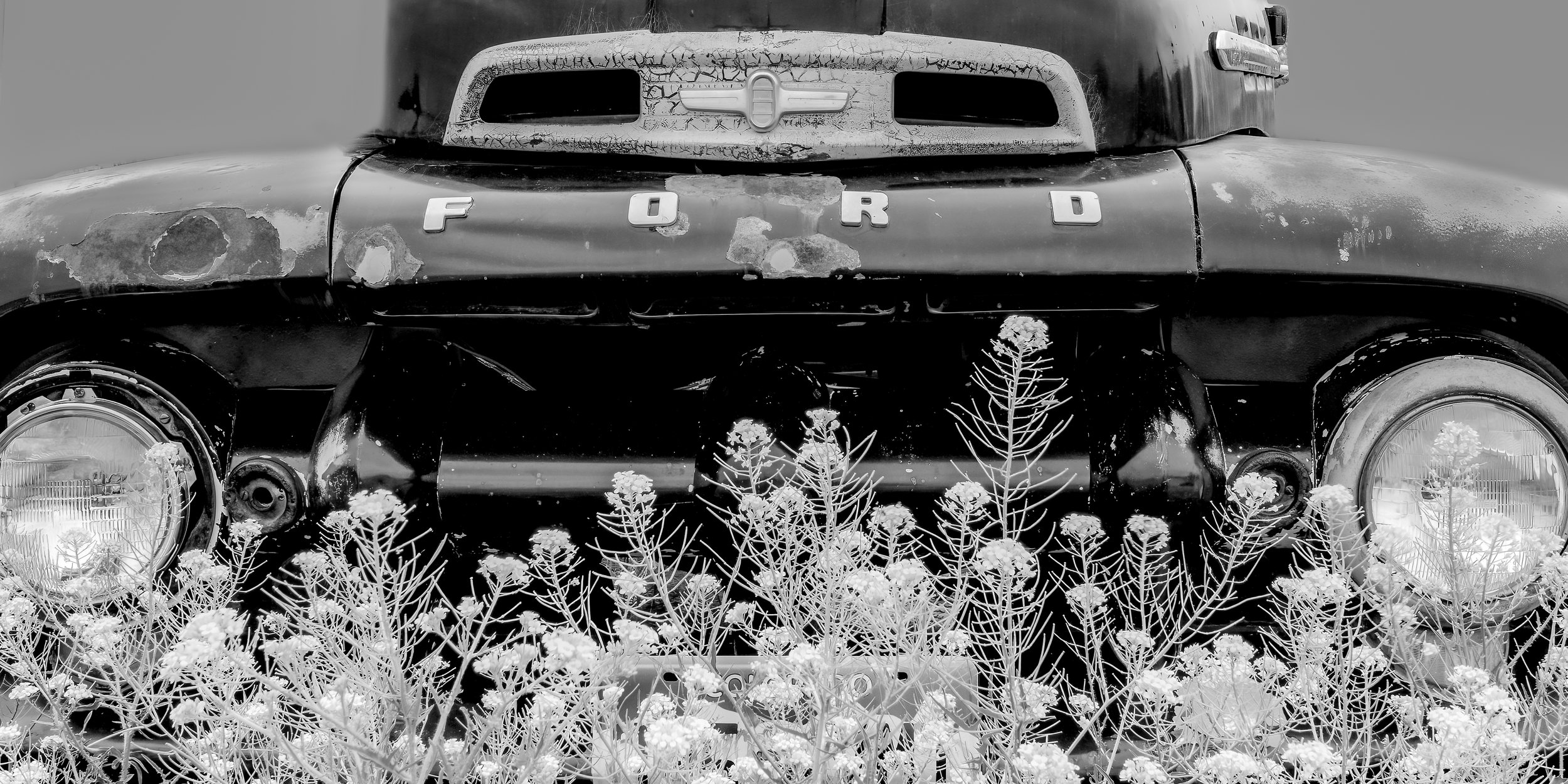 DSC_9177-Edit-Edit-Edit.jpg