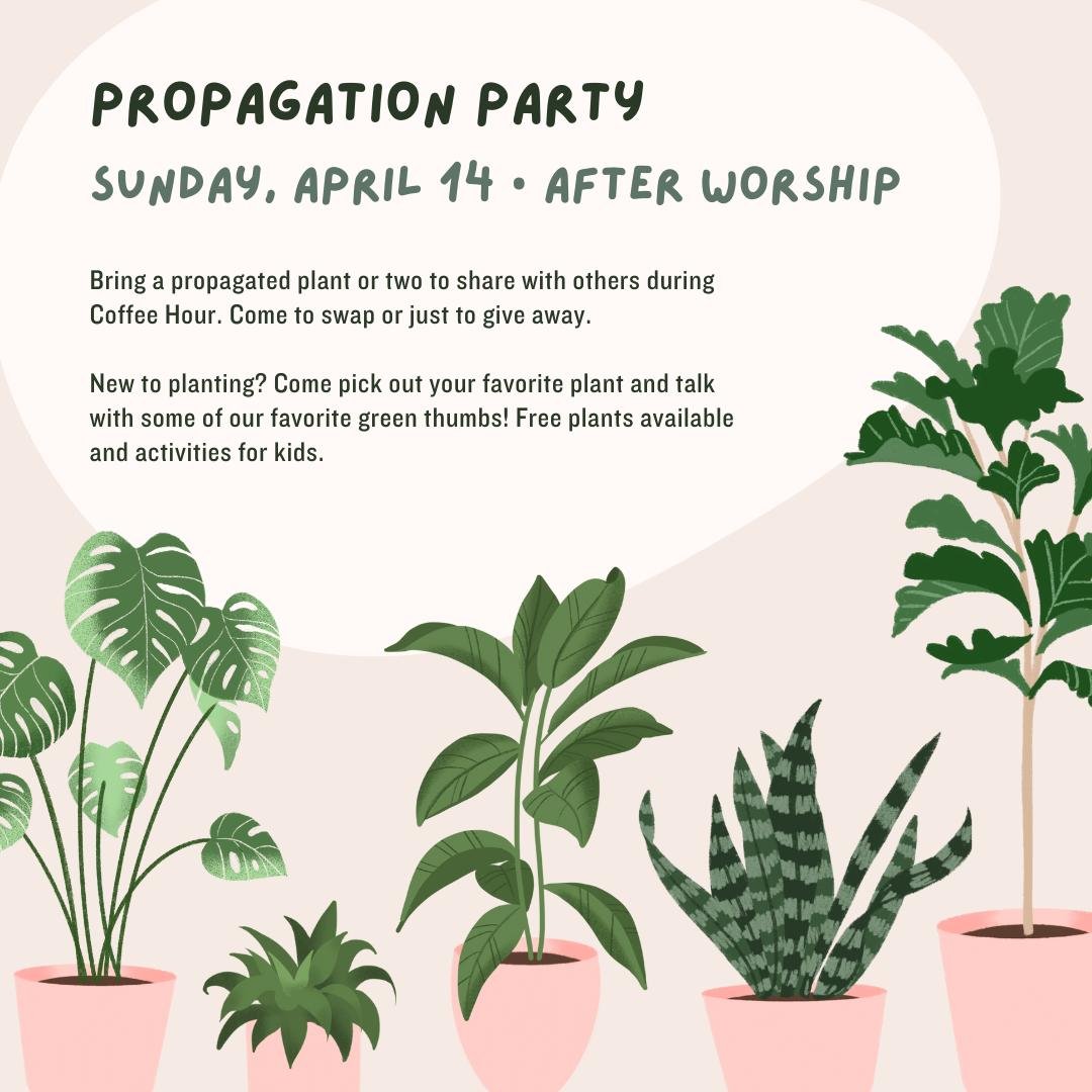 Tomorrow 🌱 Bring some plant babies and trade for something new! 🌵🌿🪴