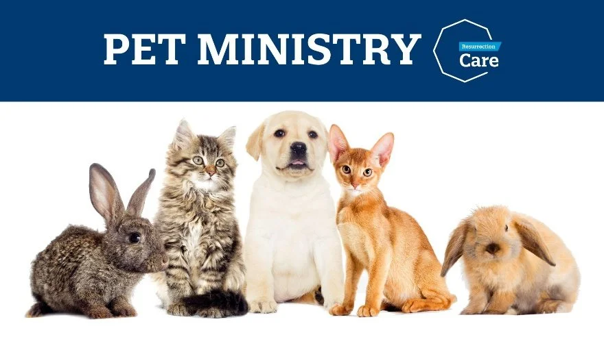 Covenant Class: Pet Ministry Discussion