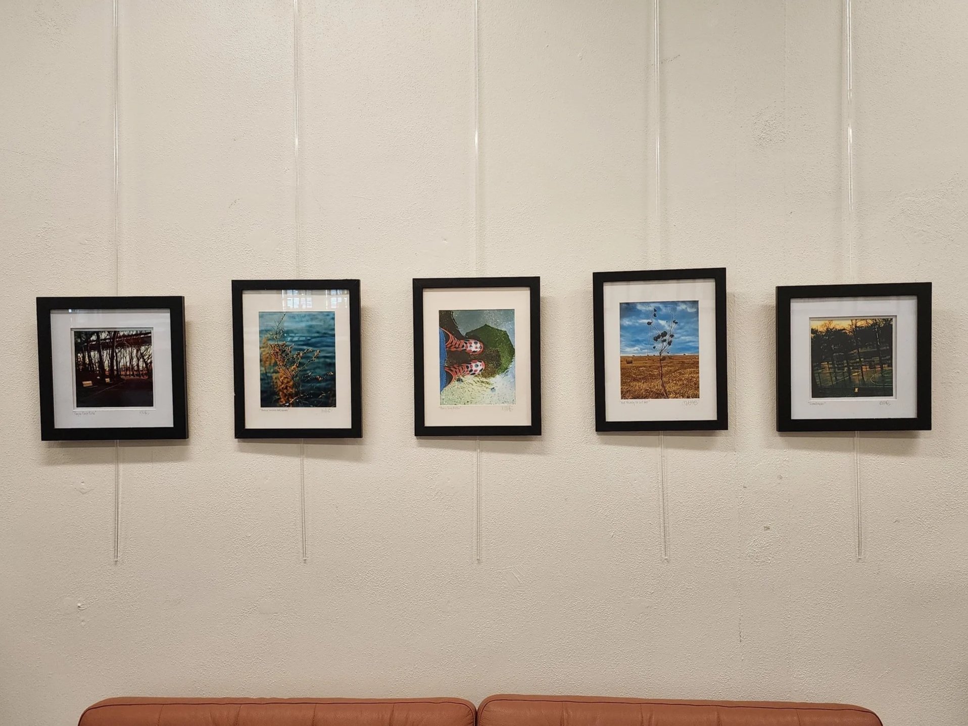 Art Show Artist Reception: Brenda Willis