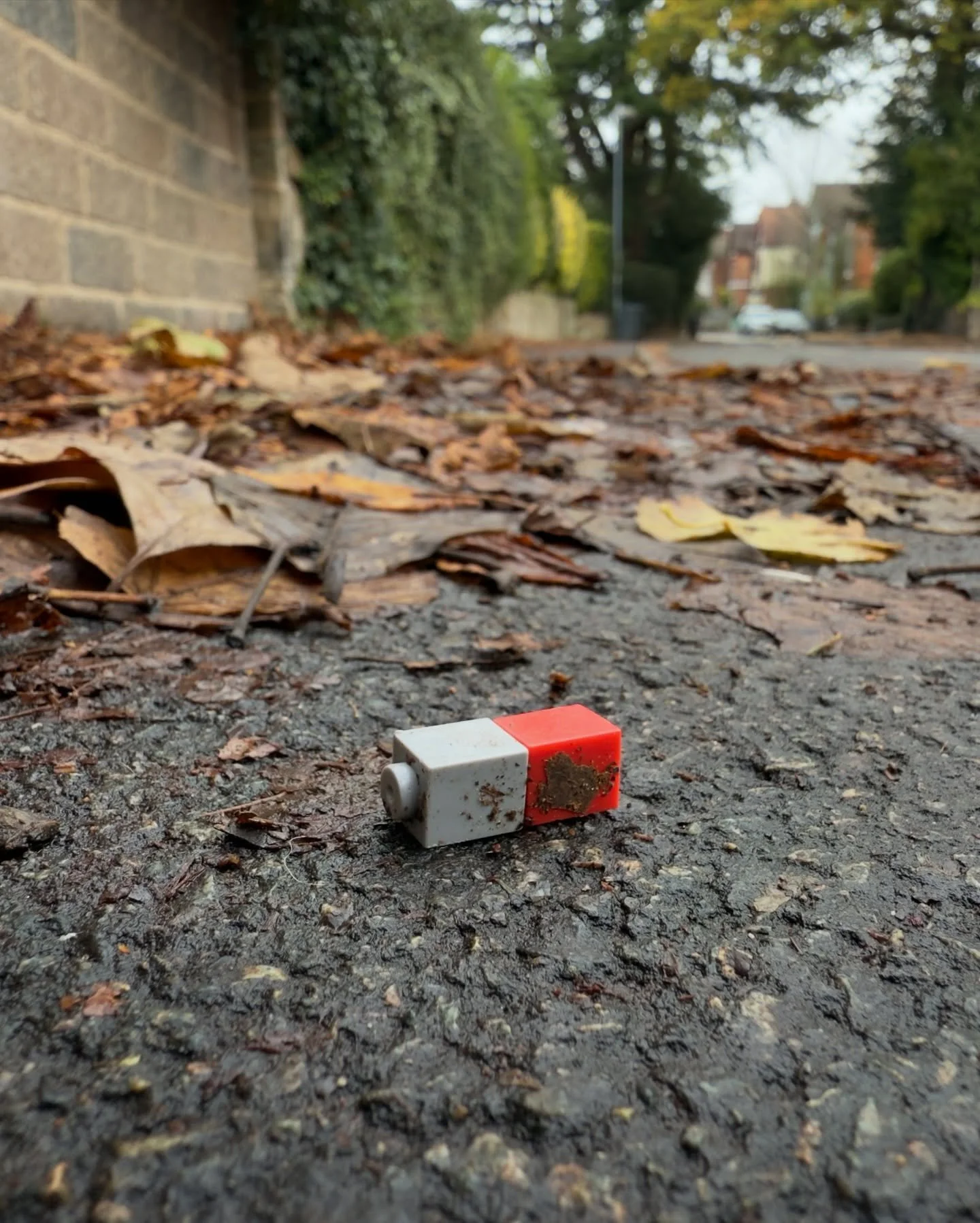 Been a while since I worked on my Lost and Found collection. I liked these little Lego bricks on Oxford Road, Moseley. #lostandfound #moseley #birmingham #lego