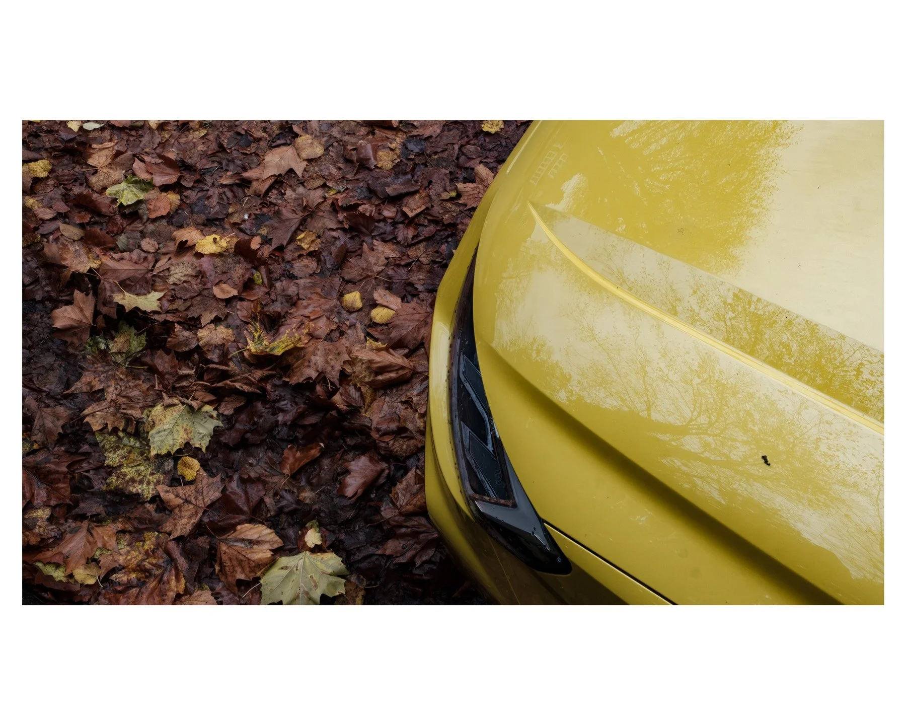 #autumn #moseley #birmingham #birminghamuk