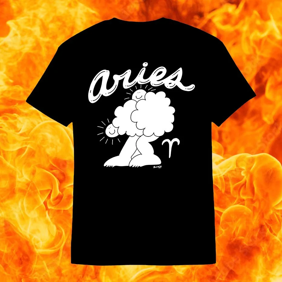 7ARIES B.jpg