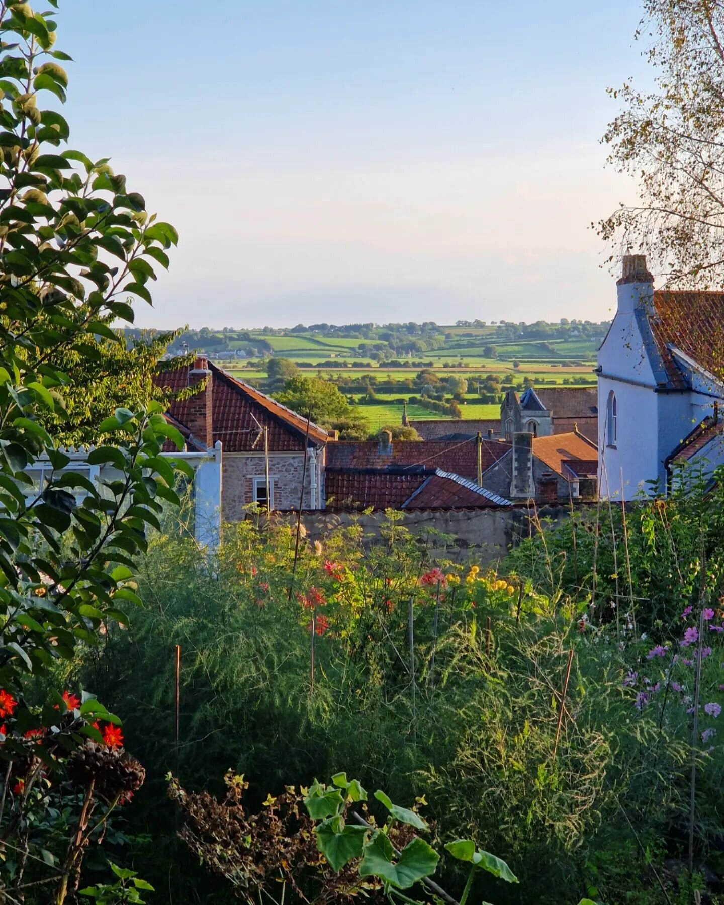 A couple of lovely views - golden hour from the top of the garden, looking over the house. And a look out of the windows up West Street towards the sunset. When the sun comes out, you could almost think you were in the south of France....
.
.
.
#holi