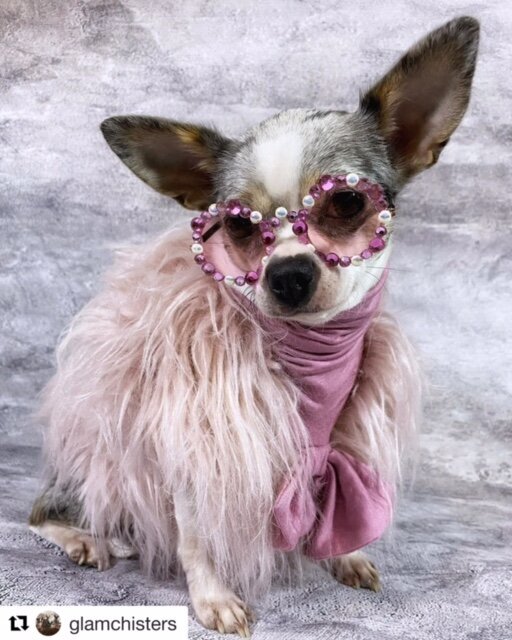 diva glamchisters_diva.jpeg