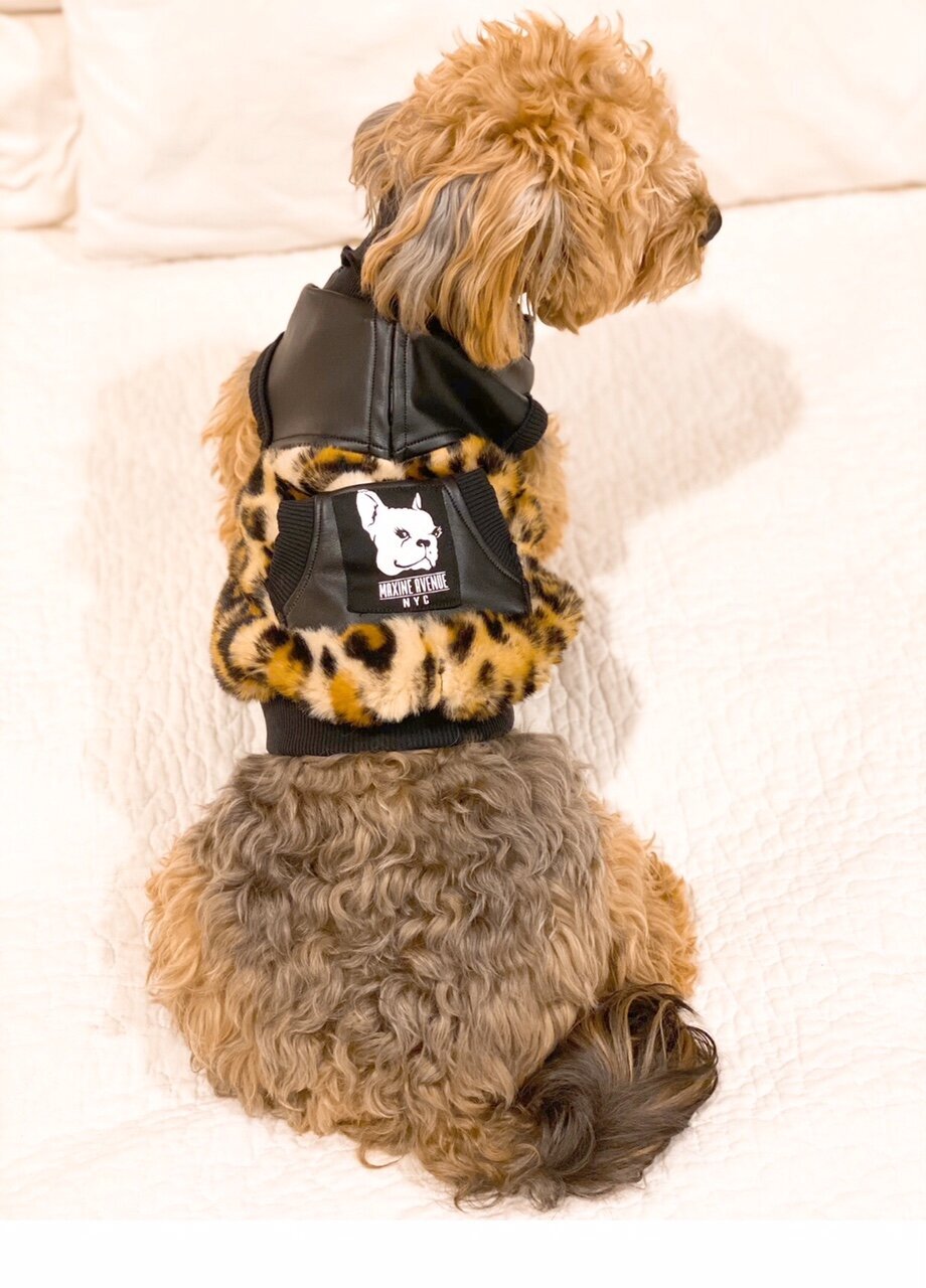 Riley vest 1.jpeg