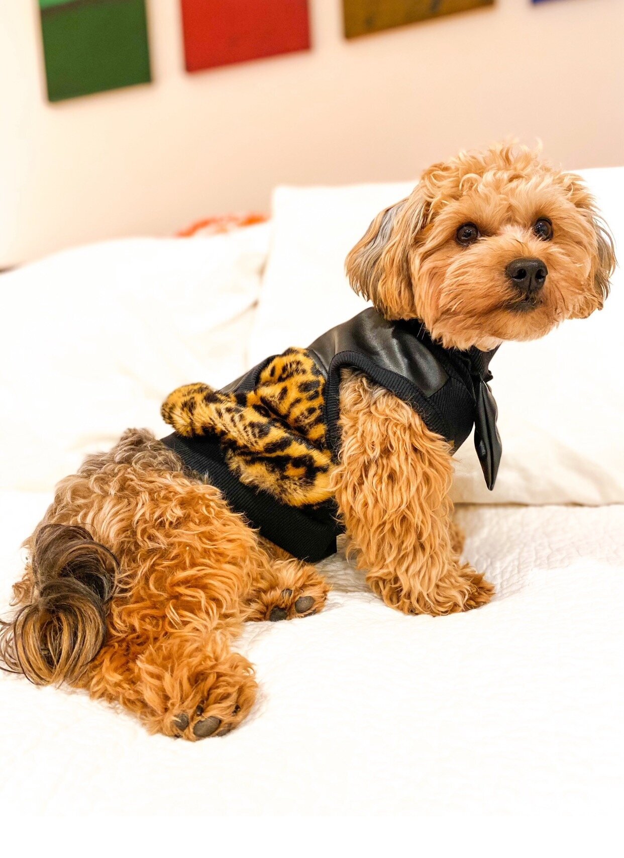 Riley vest 4.jpeg