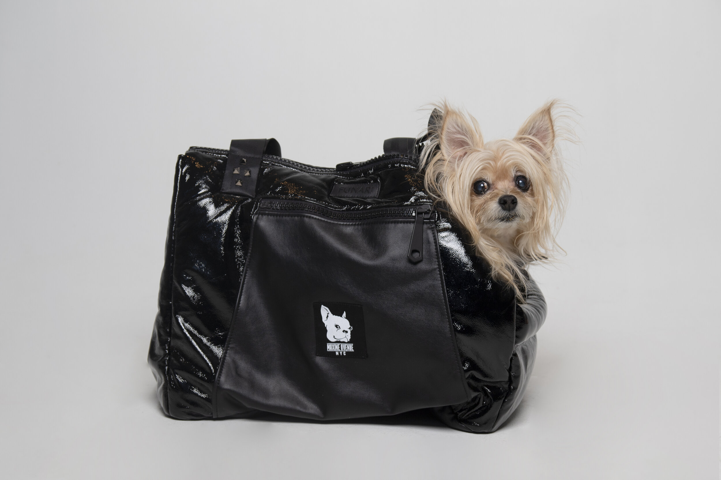 Petsfit Dog Carrier Bag, Portable Pet Carrier Tote India | Ubuy
