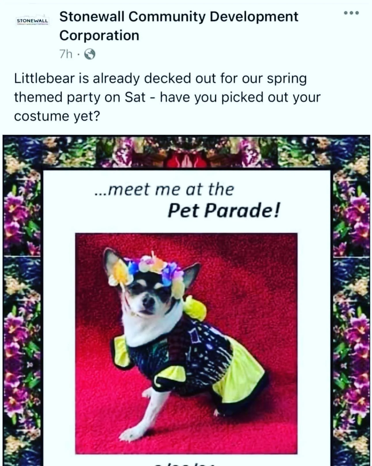 Can&rsquo;t wait to see the Pet parade with @stonewallvillagenyc @nyc_littlebear looking so festive for Spring 🌸🌼🍄 in our Frida dress!!! Excited to see all the Beautiful Pups of NYC! 🌈
.
#stonewall #stonewallbusiness #stonewallnyc #petparade #pet