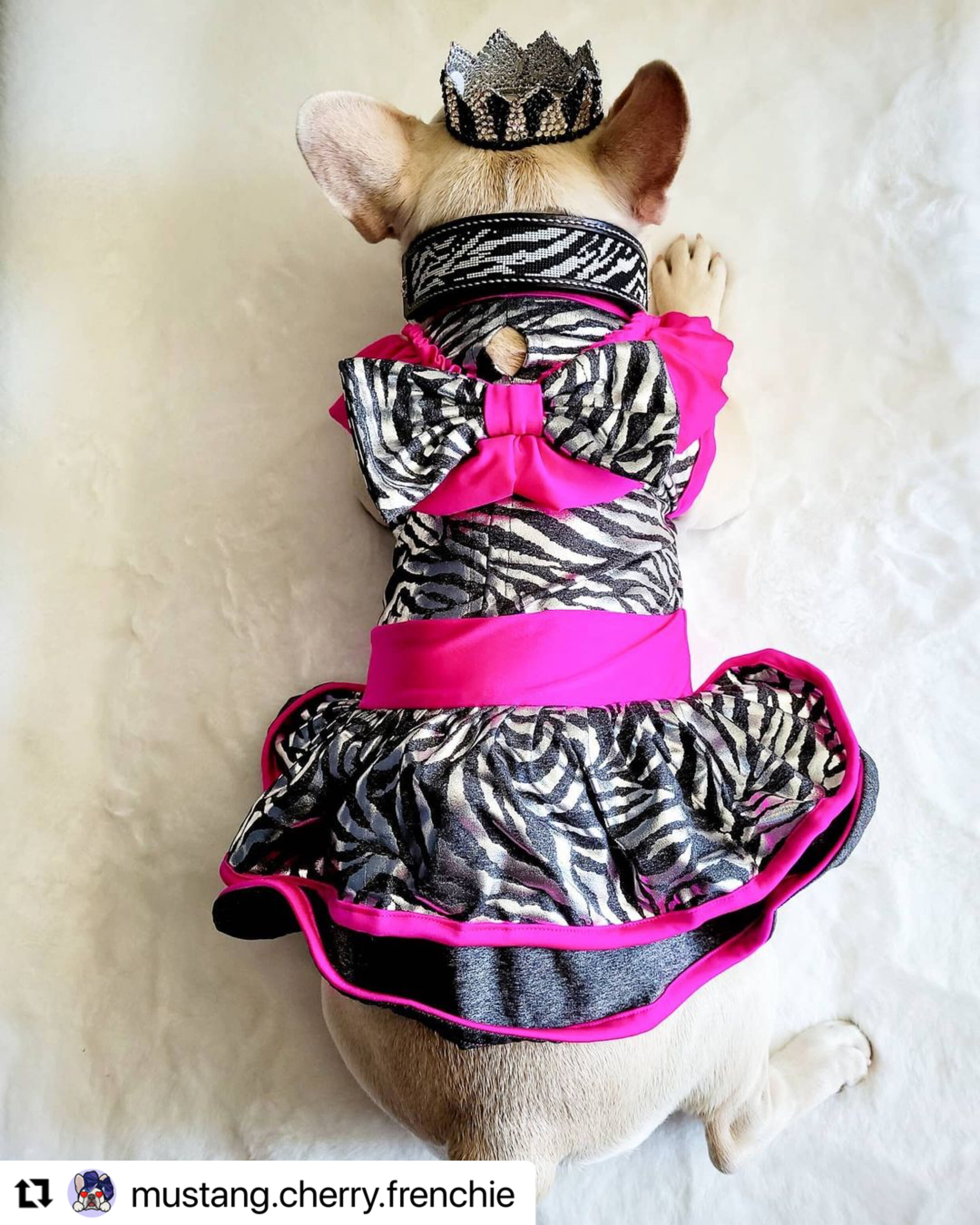 1A1BE816-F7AA-4D09-A397-EE49BB7DB847_bella dress 1.jpeg
