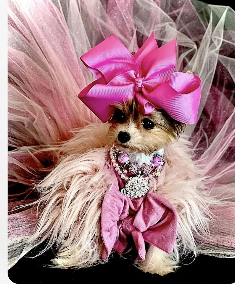 Magia sparkle dog tutu Maxine Avenue NYC Magia sparkle dog tutu Maxine Avenue NYC
