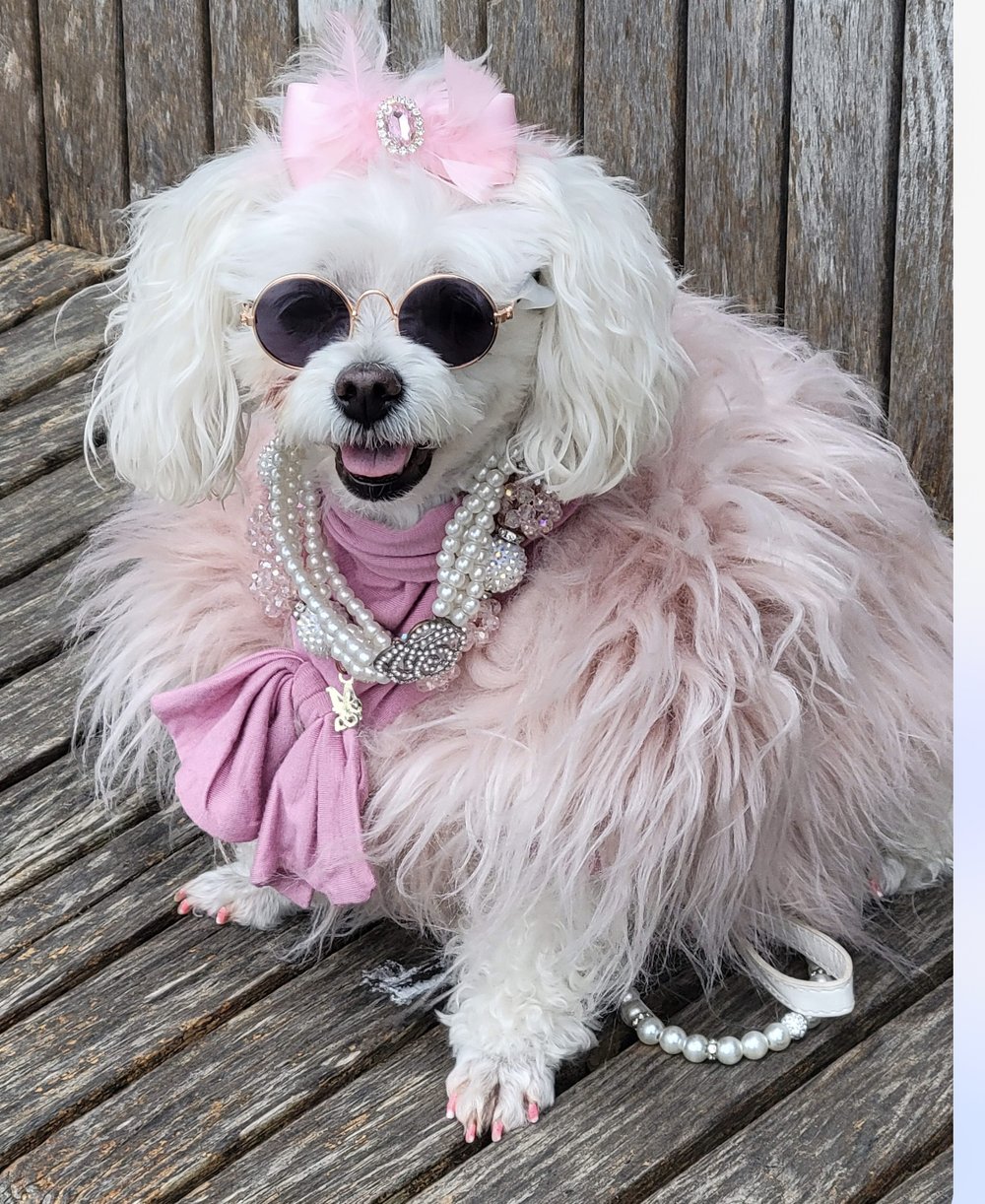 Diva Fur Dog Sweater in Pink — Maxine Avenue NYC