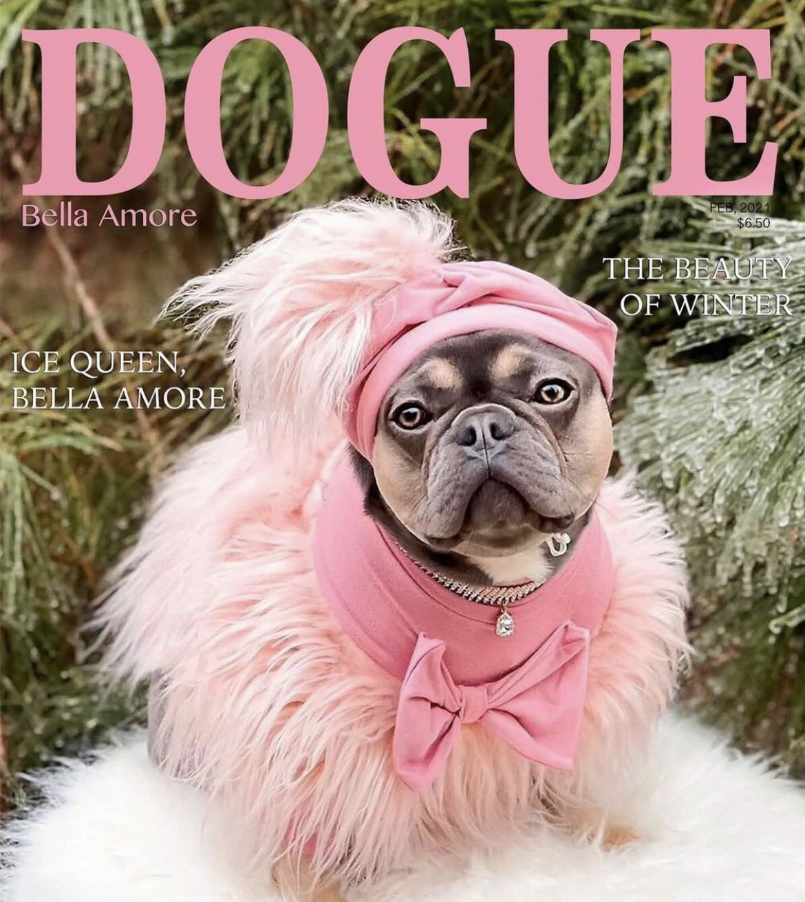 Diva Fur Dog Sweater in Pink — Maxine Avenue NYC