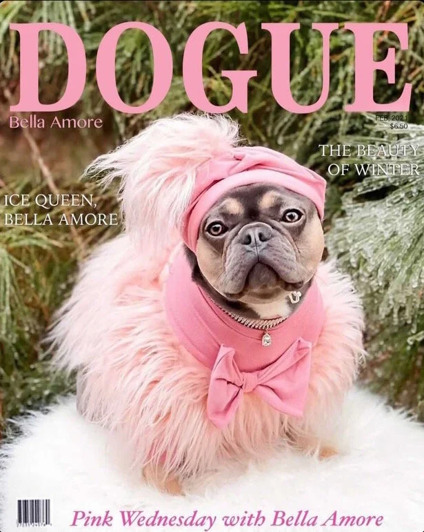 Dogue pink.jpeg