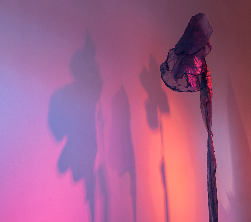 Screen Shot 2021-02-09 at 2.33.20 AM.png